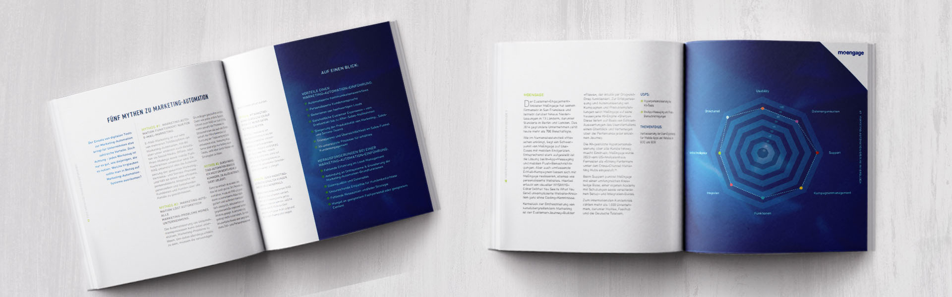 dotSource Whitepaper »Marketing-Automation-Systeme auswählen« Sitebreak Desktop